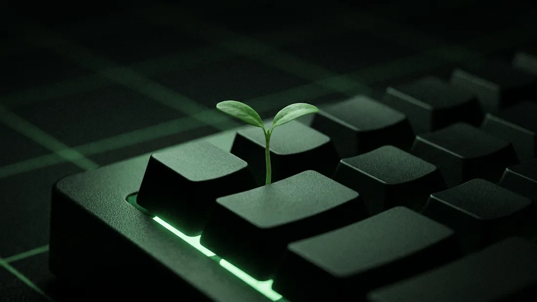 a green sprout growing from between the keys of a dark keyboard